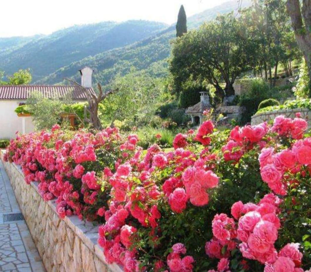 Piccolo Paradiso Martina Ngoại thất bức ảnh